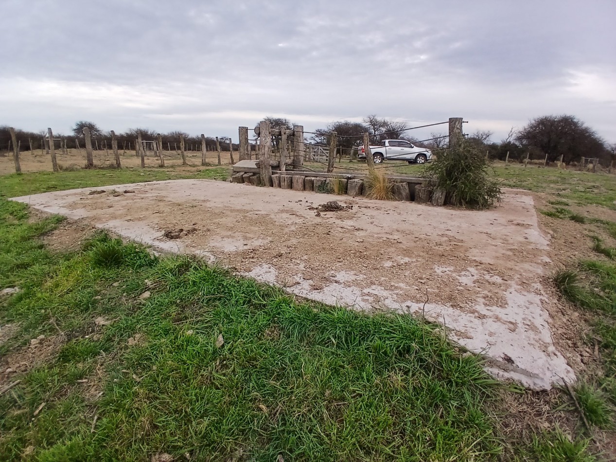 CAMPO GANADERO / APTO COTO DE CAZA 