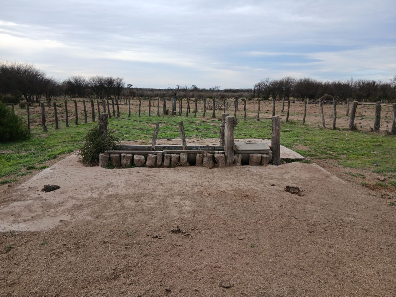 CAMPO GANADERO / APTO COTO DE CAZA 