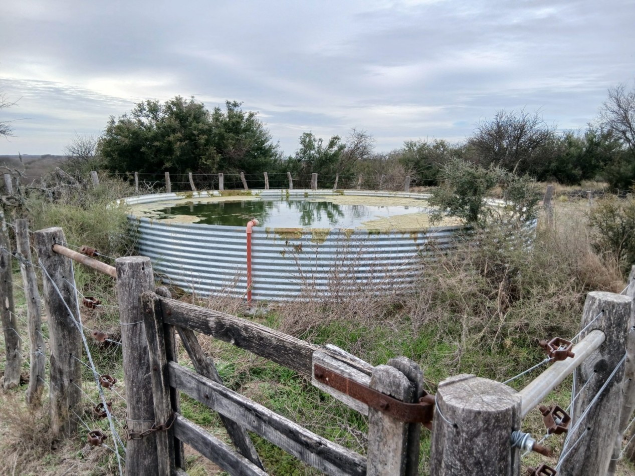 CAMPO GANADERO / APTO COTO DE CAZA 