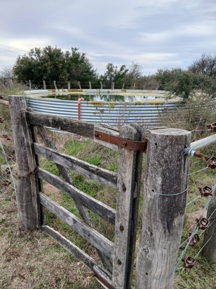 CAMPO GANADERO / APTO COTO DE CAZA 