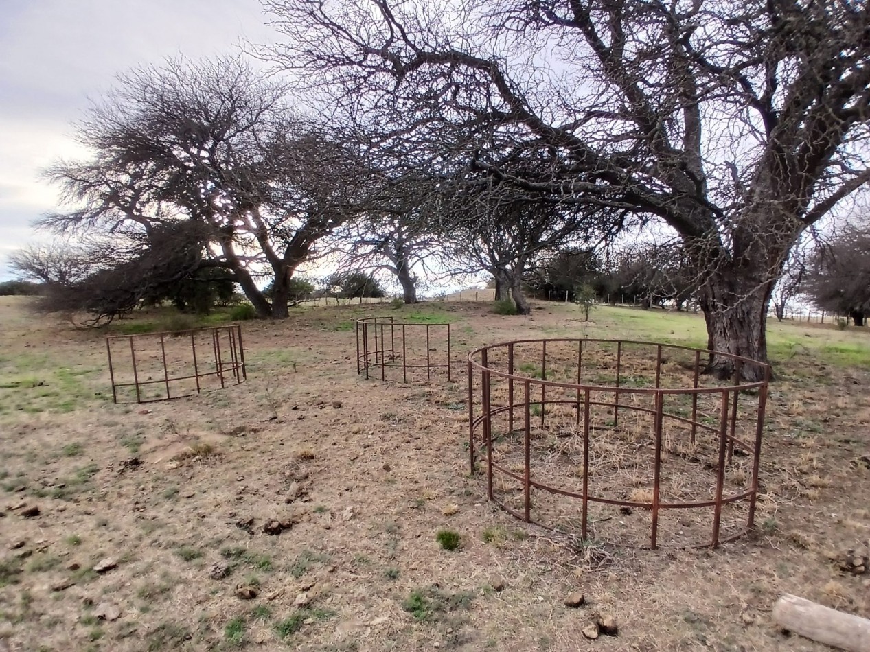 CAMPO GANADERO / APTO COTO DE CAZA 
