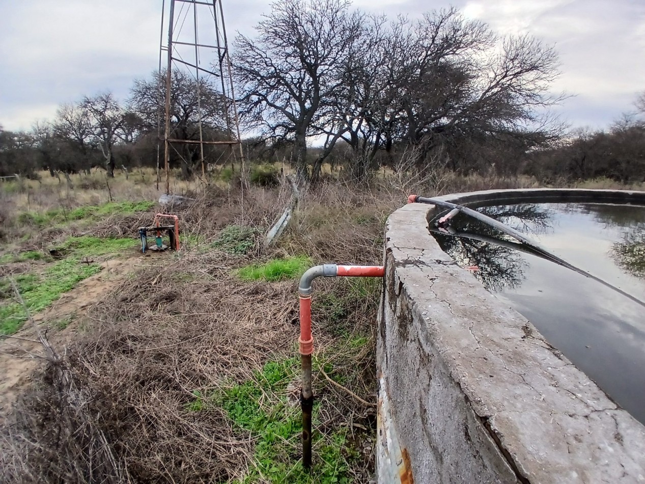 CAMPO GANADERO / APTO COTO DE CAZA 