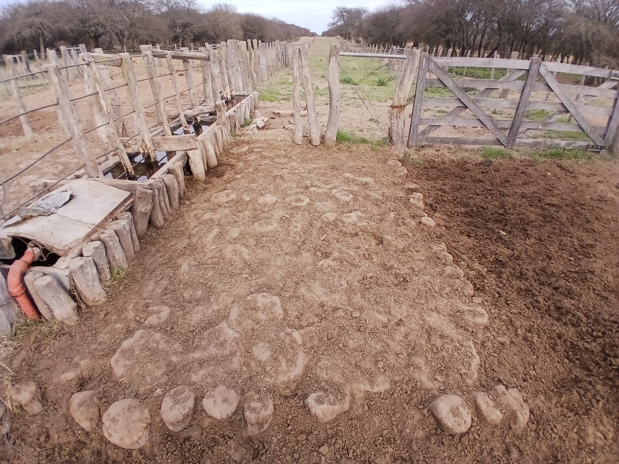 CAMPO GANADERO / APTO COTO DE CAZA 