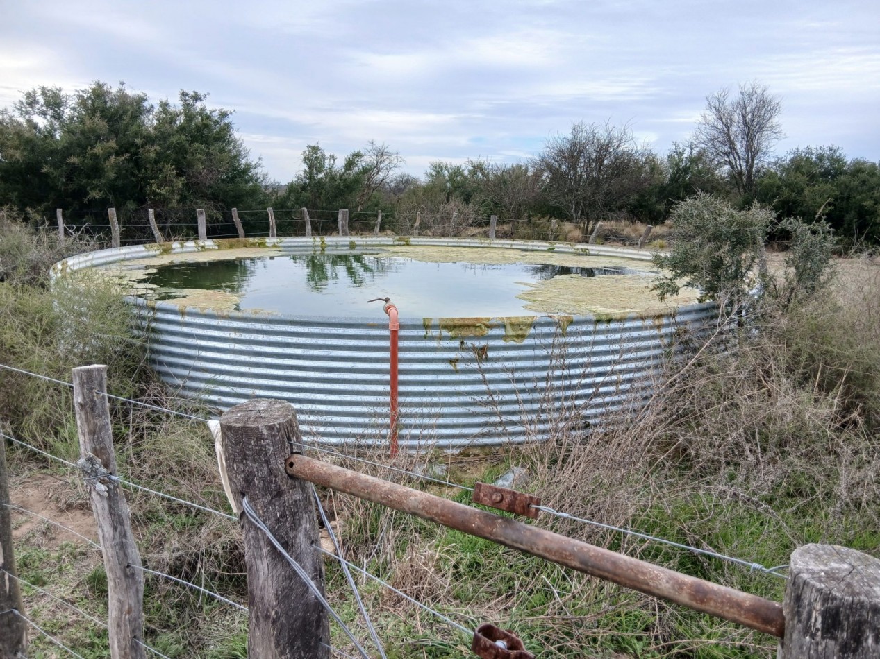 CAMPO GANADERO / APTO COTO DE CAZA 