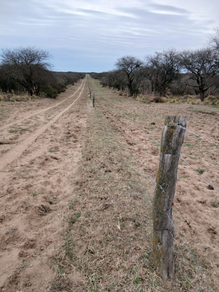 CAMPO GANADERO / APTO COTO DE CAZA 