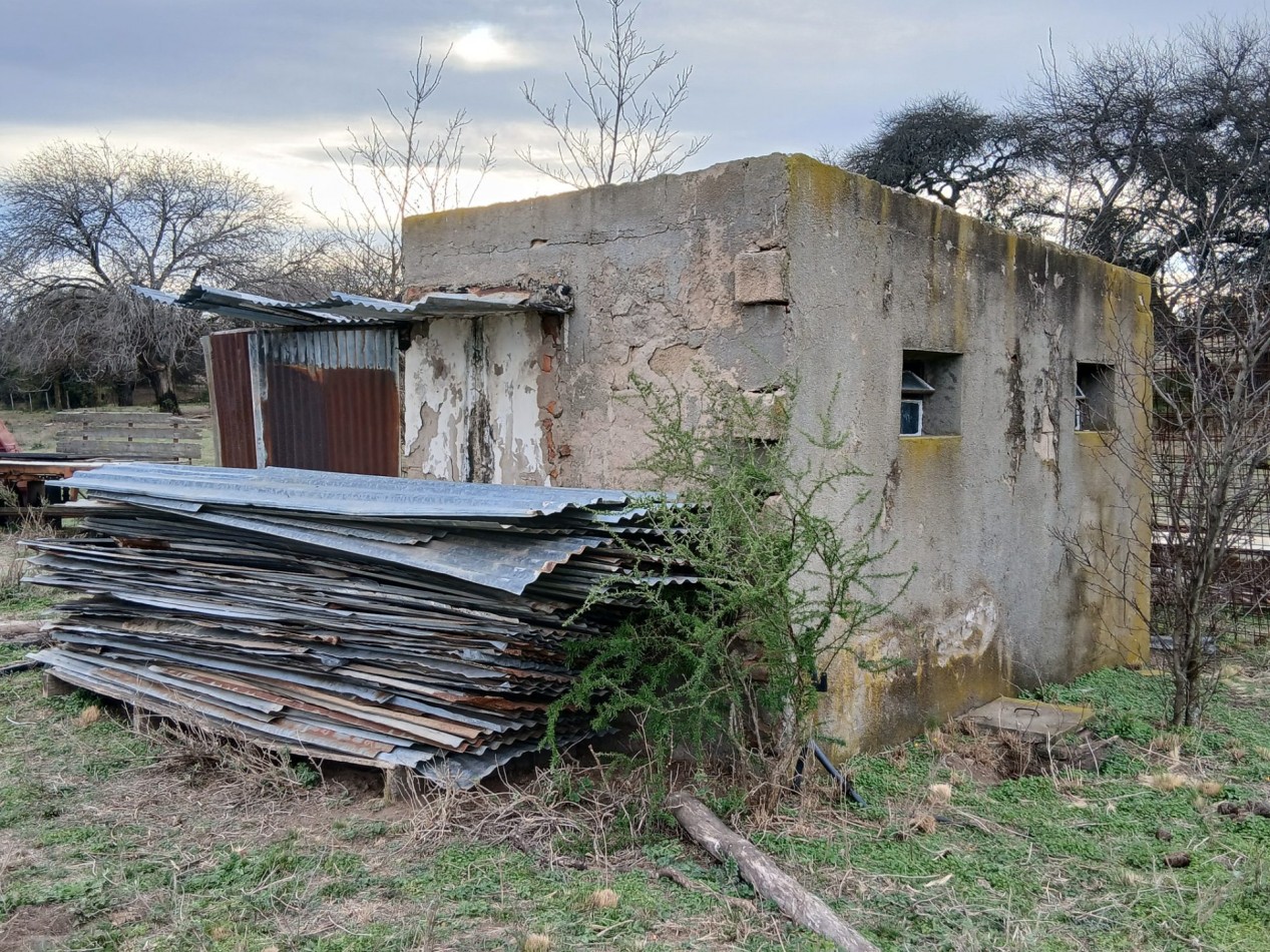 CAMPO GANADERO / APTO COTO DE CAZA 