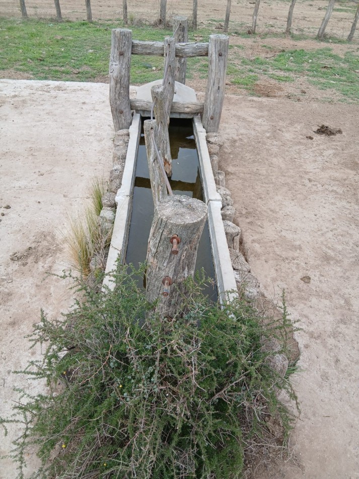 CAMPO GANADERO / APTO COTO DE CAZA 