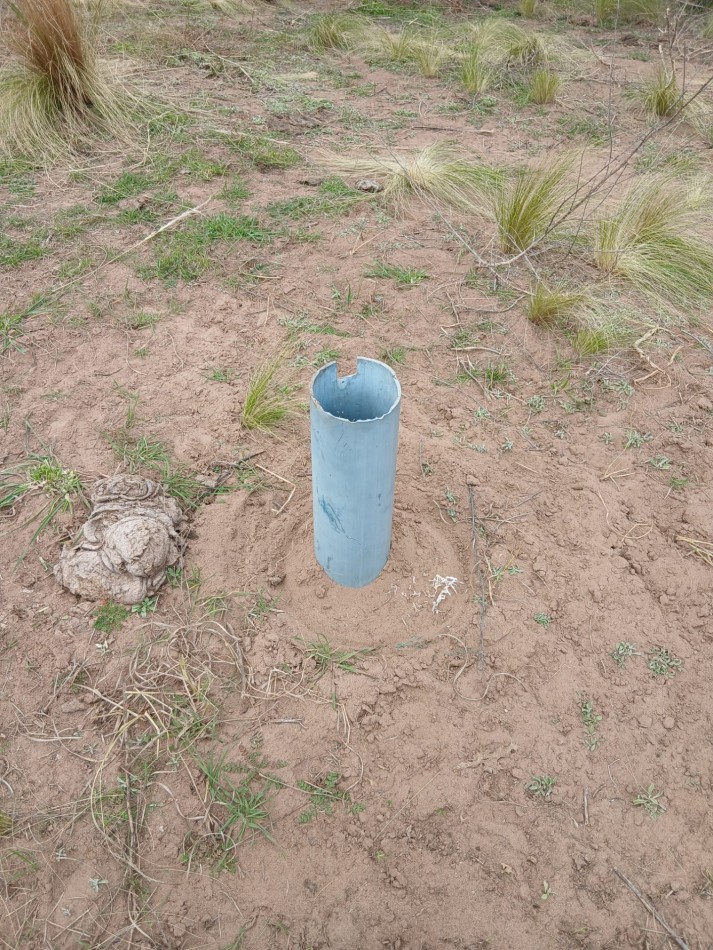 CHACRA de 50 HECTAREAS EN VICTORICA (LP)