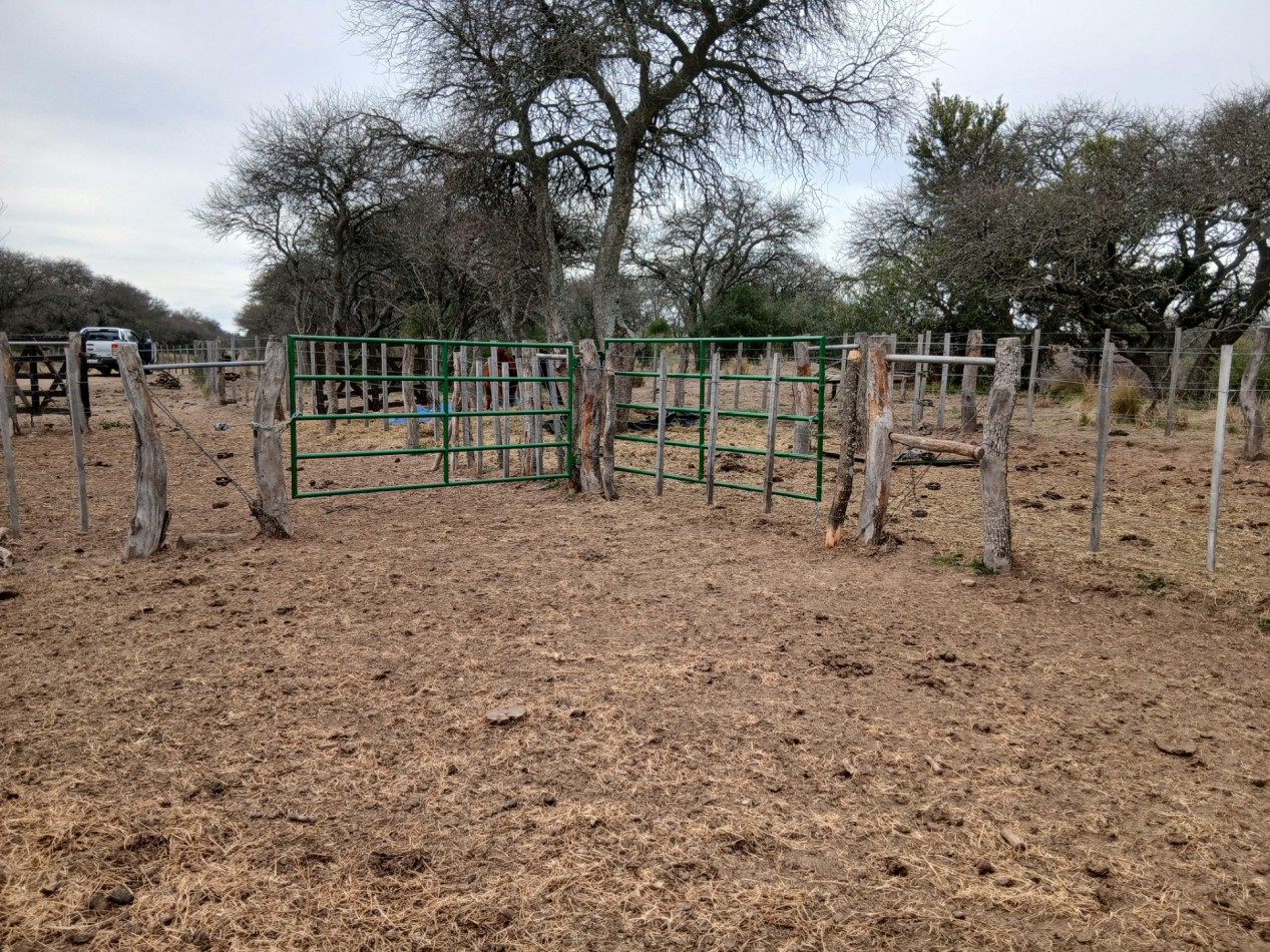 CHACRA de 50 HECTAREAS EN VICTORICA (LP)