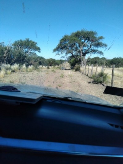 CAMPO GANADERO / APTO COTO DE CAZA 