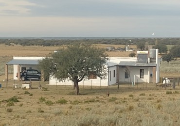 TELEN: CHACRA C/ CHALET y EQUIPAMENTO - 44 HAS. -