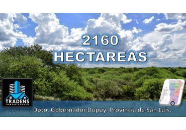 CAMPO GANADERO / APTO COTO DE CAZA 