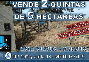 LOTES QUINTAS EN METILEO - 10 HECTAREAS