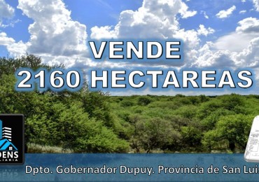 CAMPO GANADERO / APTO COTO DE CAZA 