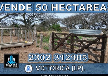 CHACRA de 50 HECTAREAS EN VICTORICA (LP)