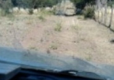 CAMPO GANADERO / APTO COTO DE CAZA 